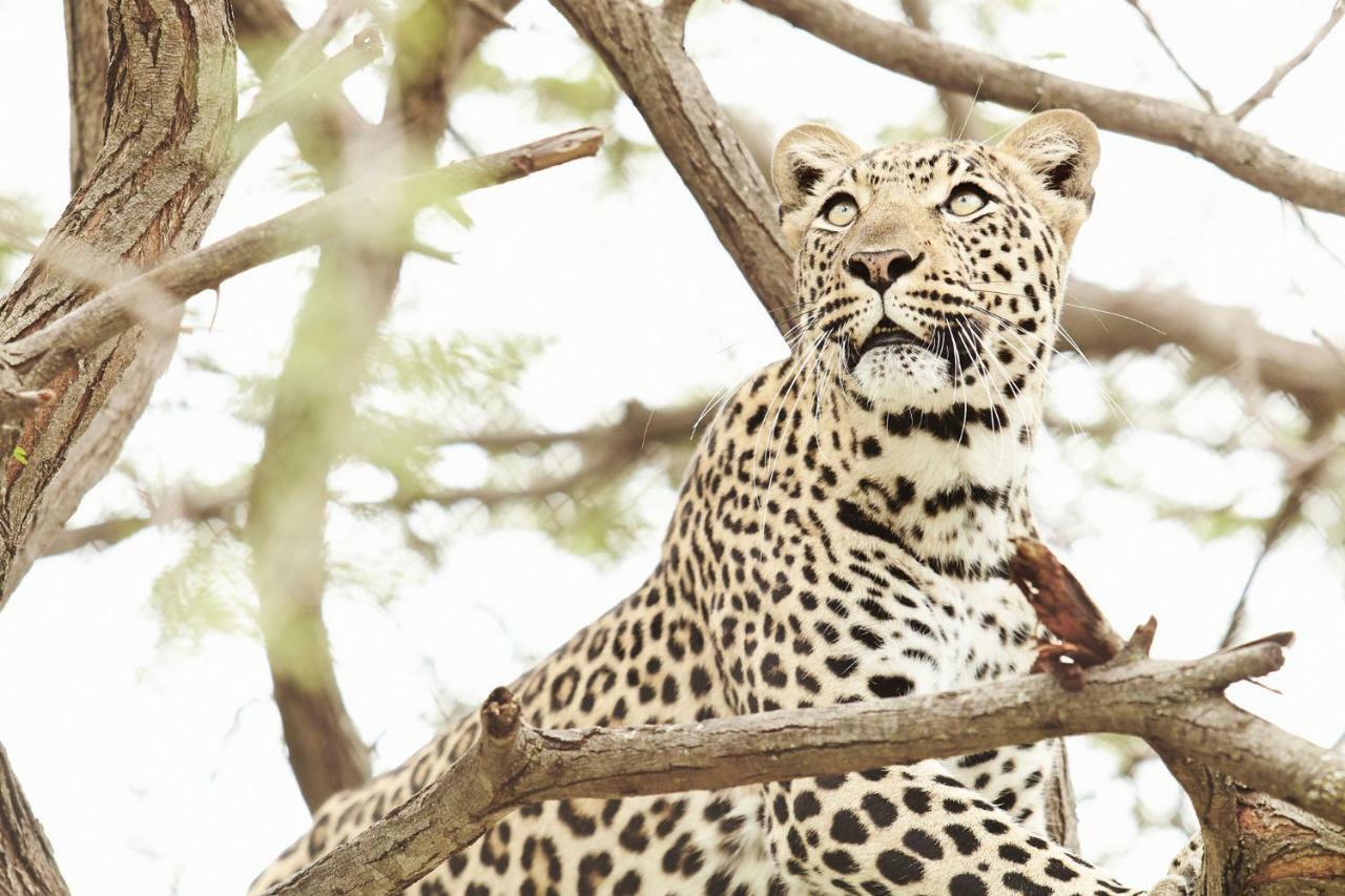 Vuyani River Lodge Худспрут Экстерьер фото